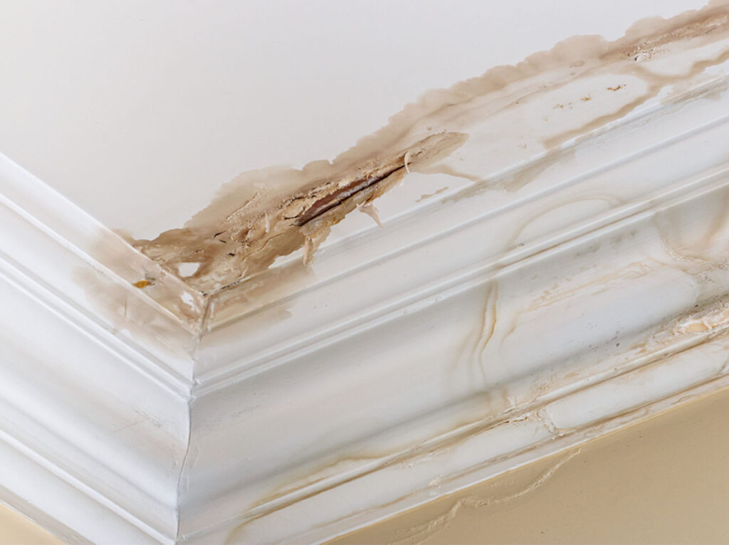 COHA-GEVELRENOVATIE-Voorkom-waterschade-Voorne-Aan-Zee