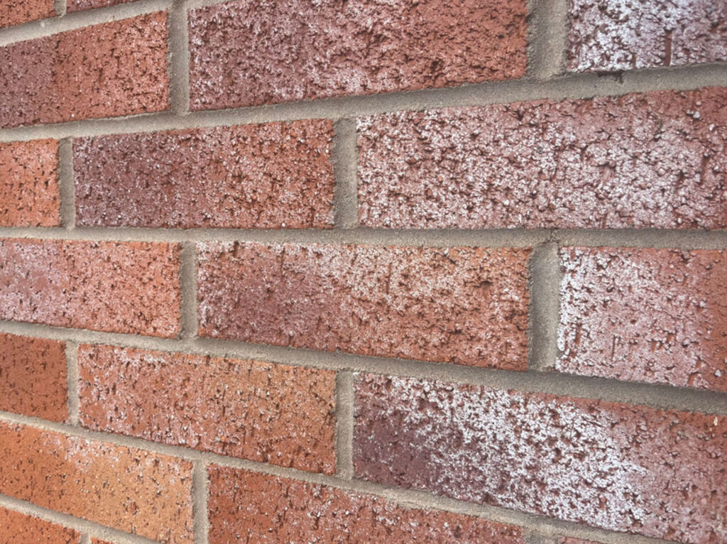 COHA-GEVELRENOVATIE-Zoutuitbloei-behandeling-Voorne-Aan-Zee