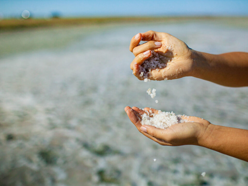 COHA-GEVELRENOVATIE-natuurlijke-oorxaken-Zoutuitbloei-Voorne-Aan-Zee