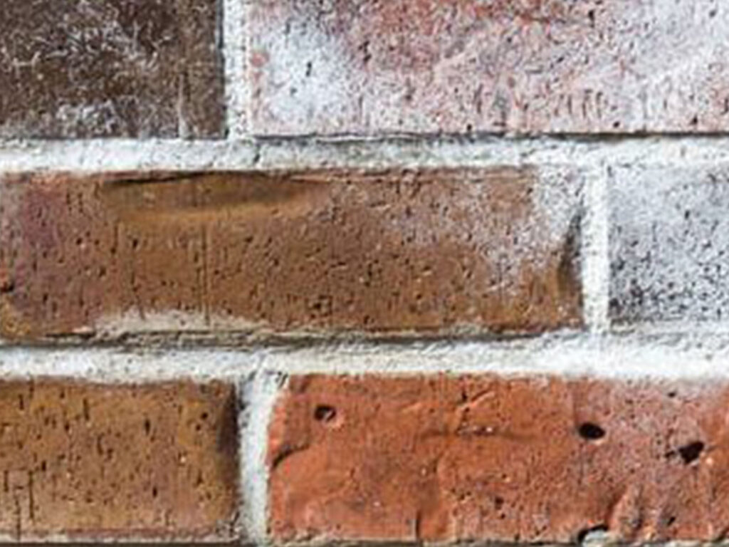 Coha-Gevelrenovatie-Zoutuitbloei-Behandelingen-Voorne-Aan-Zee