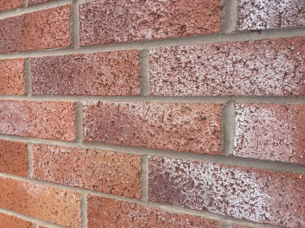 Zoutuitbloei behandelingen door COHA Gevelrenovatie