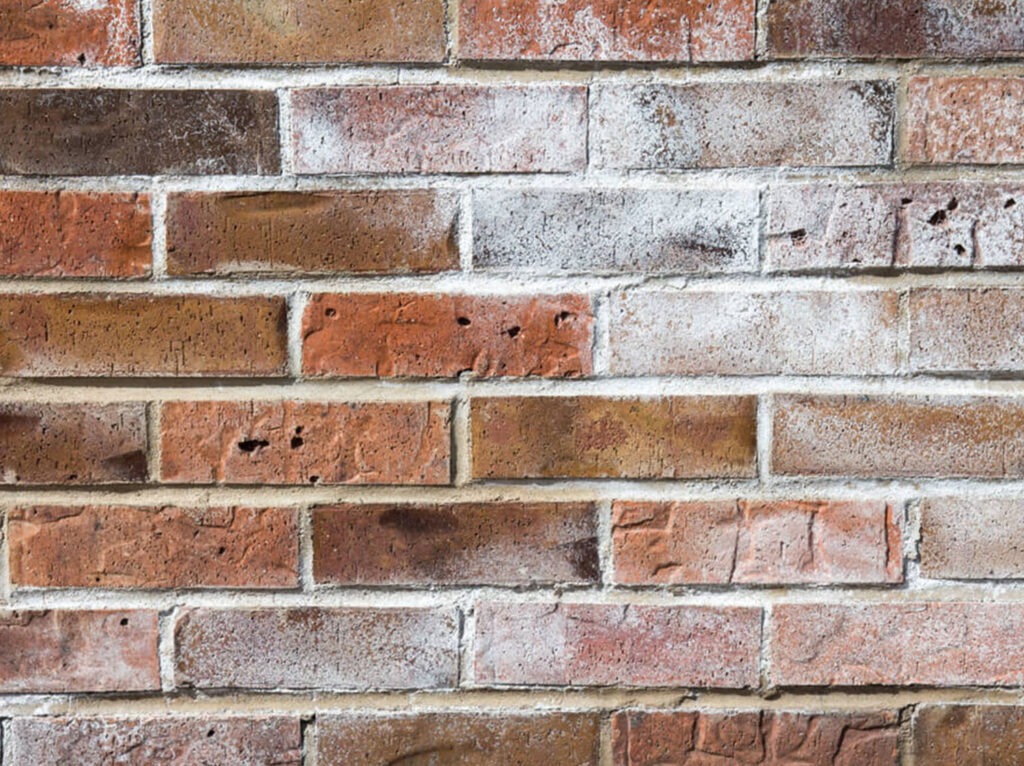 Zoutuitbloei behandelingen door COHA Gevelrenovatieg